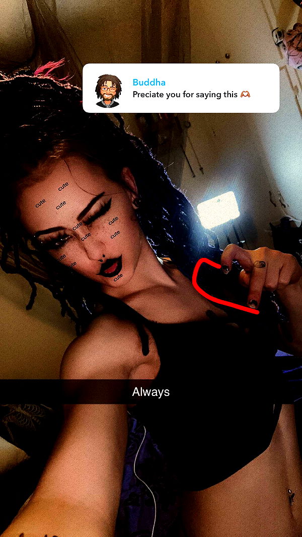 trappkittykhaos image ~ Altpins