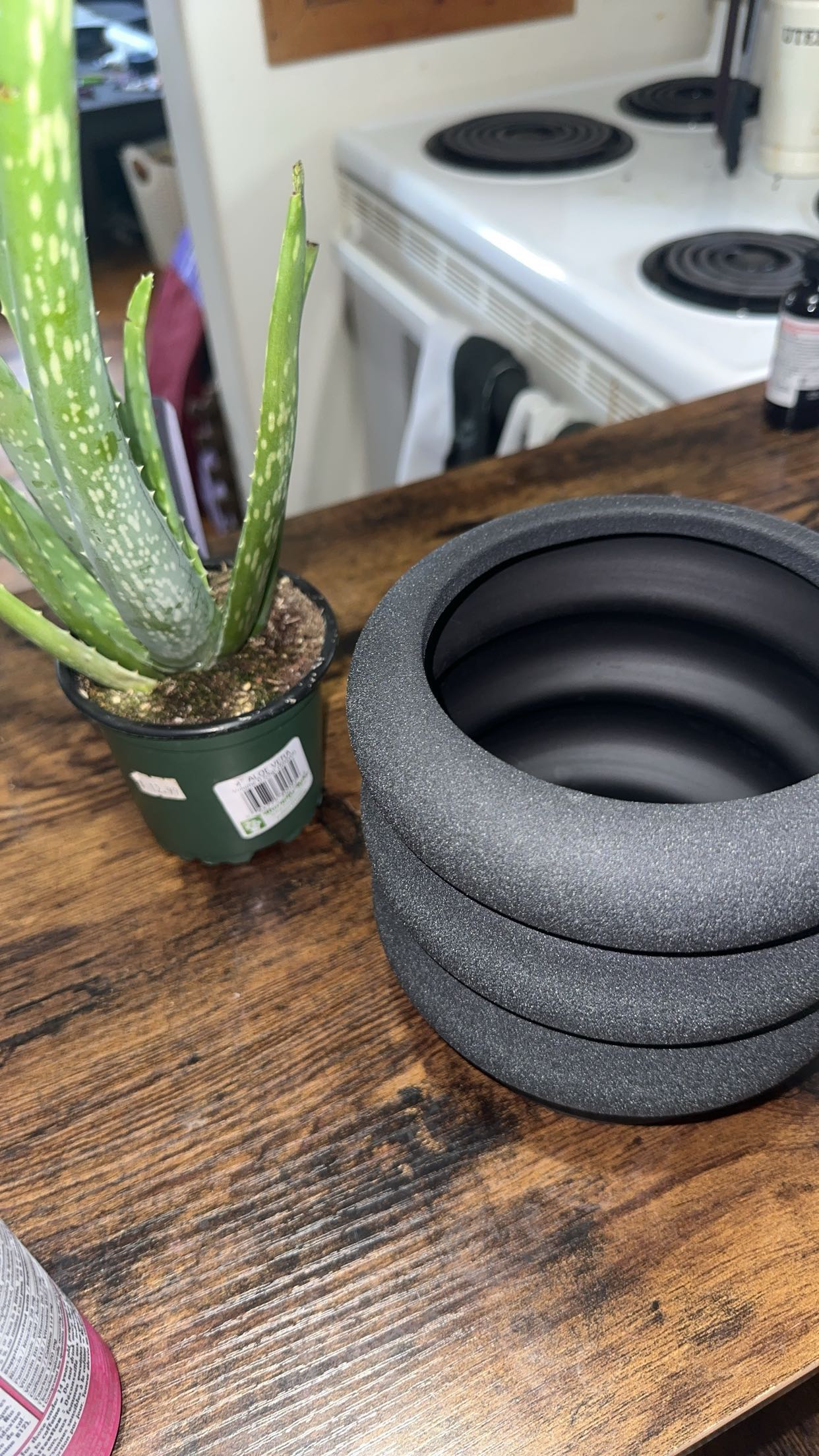 trappkittykhaos snapchat image archive image