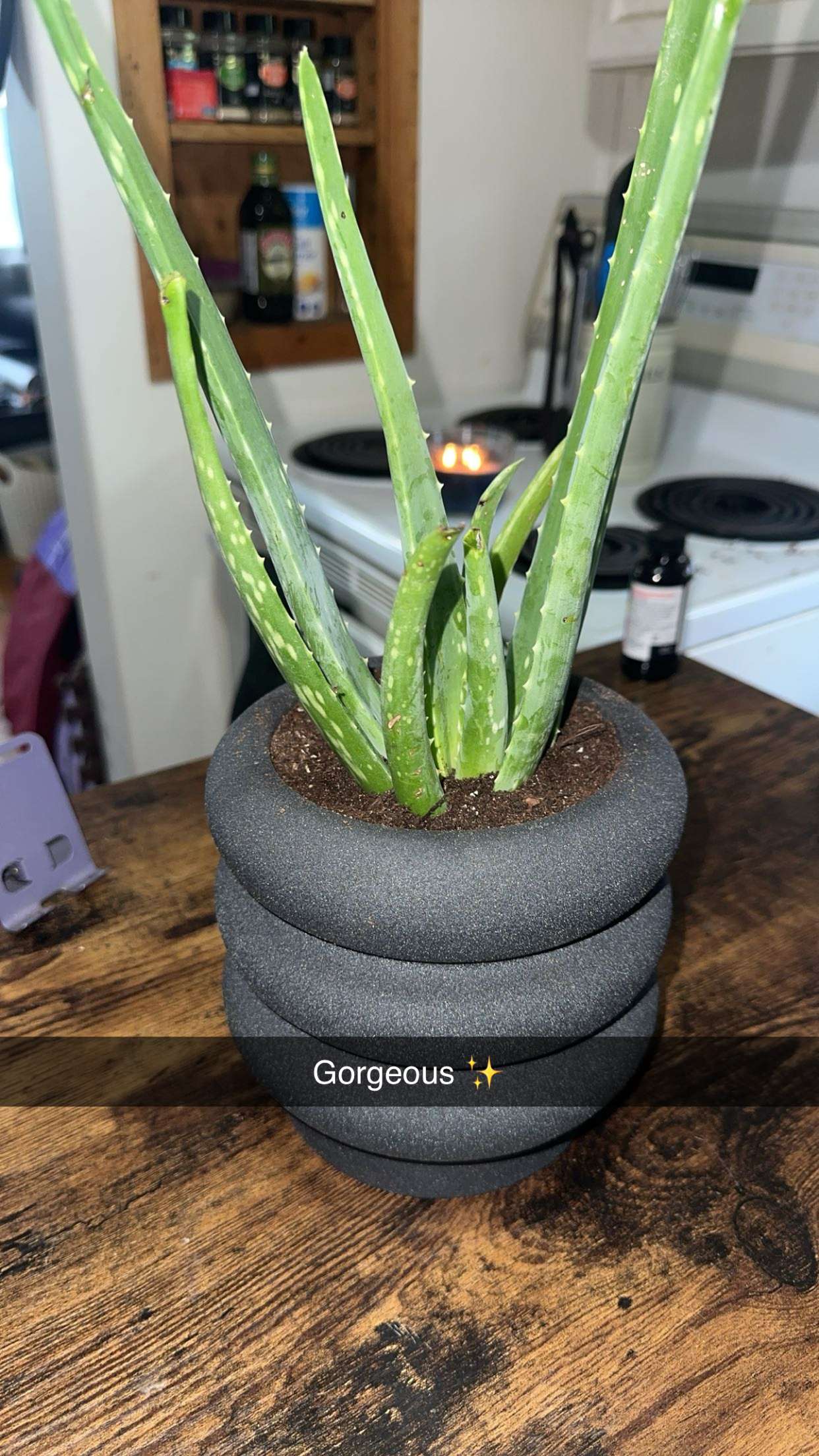 trappkittykhaos snapchat image archive image