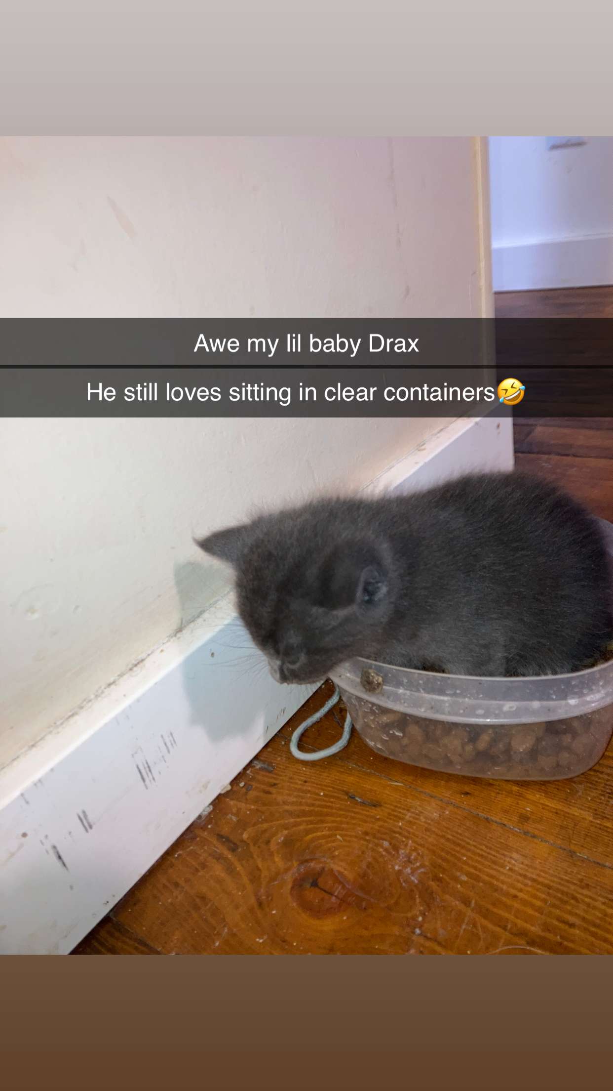 trappkittykhaos snapchat image archive image