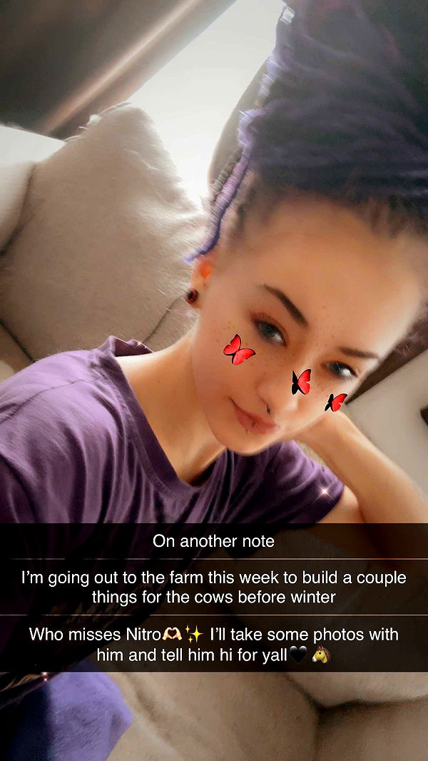 trappkittykhaos image ~ Altpins