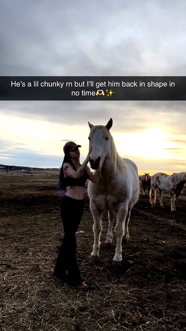 trappkittykhaos image ~ Altpins