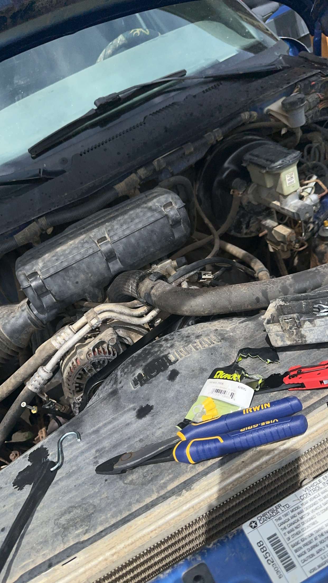 trappkittykhaos snapchat image archive image