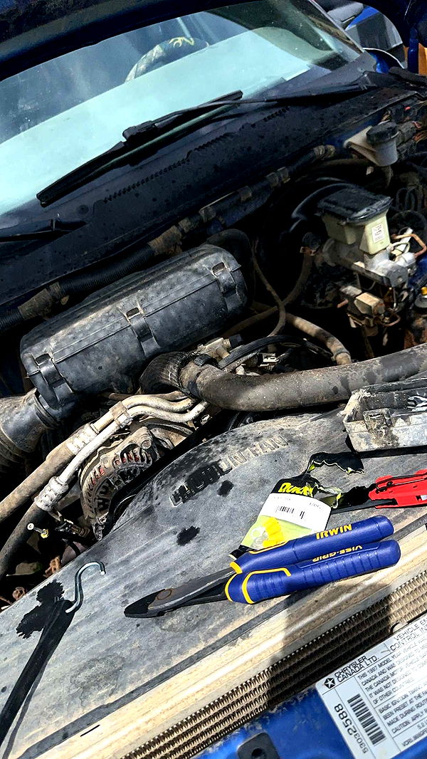 trappkittykhaos image ~ Altpins