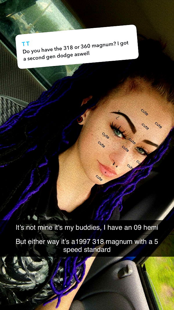 trappkittykhaos image ~ Altpins