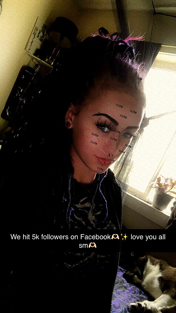 trappkittykhaos image ~ Altpins