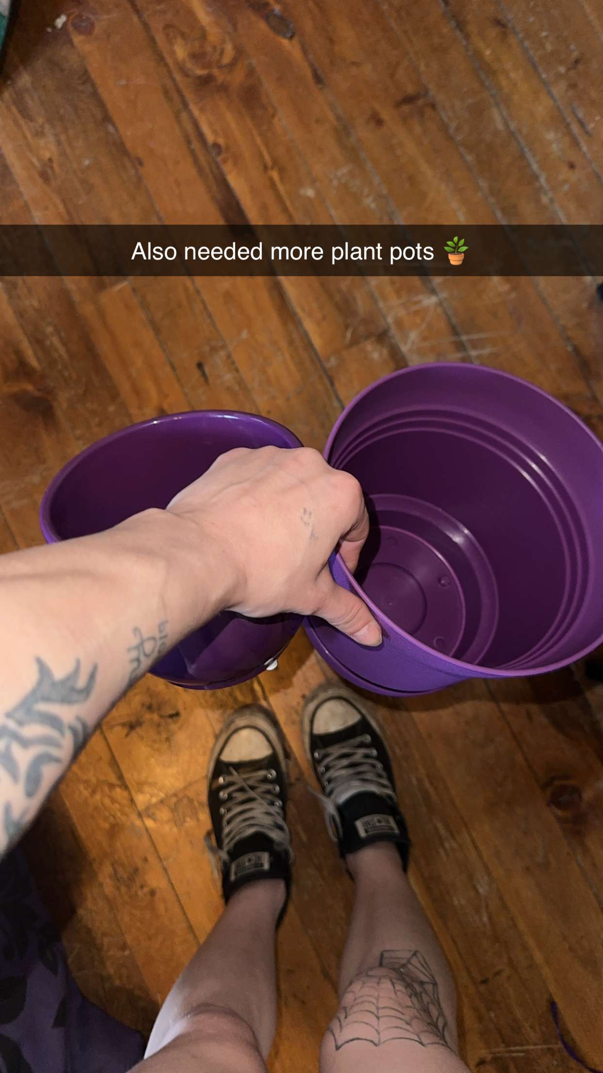 trappkittykhaos snapchat image archive image