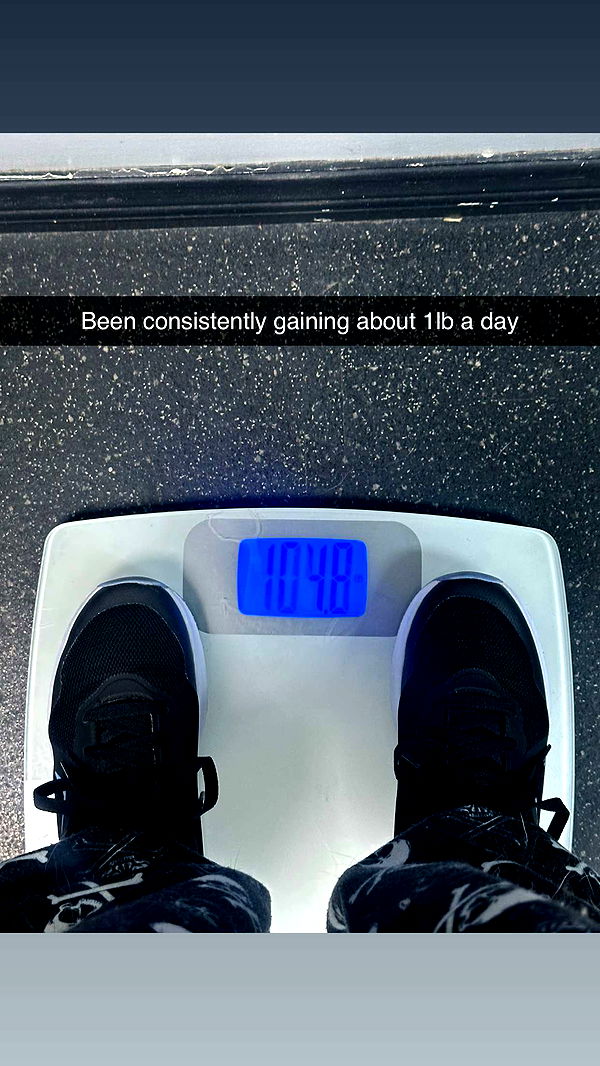 trappkittykhaos image ~ Altpins