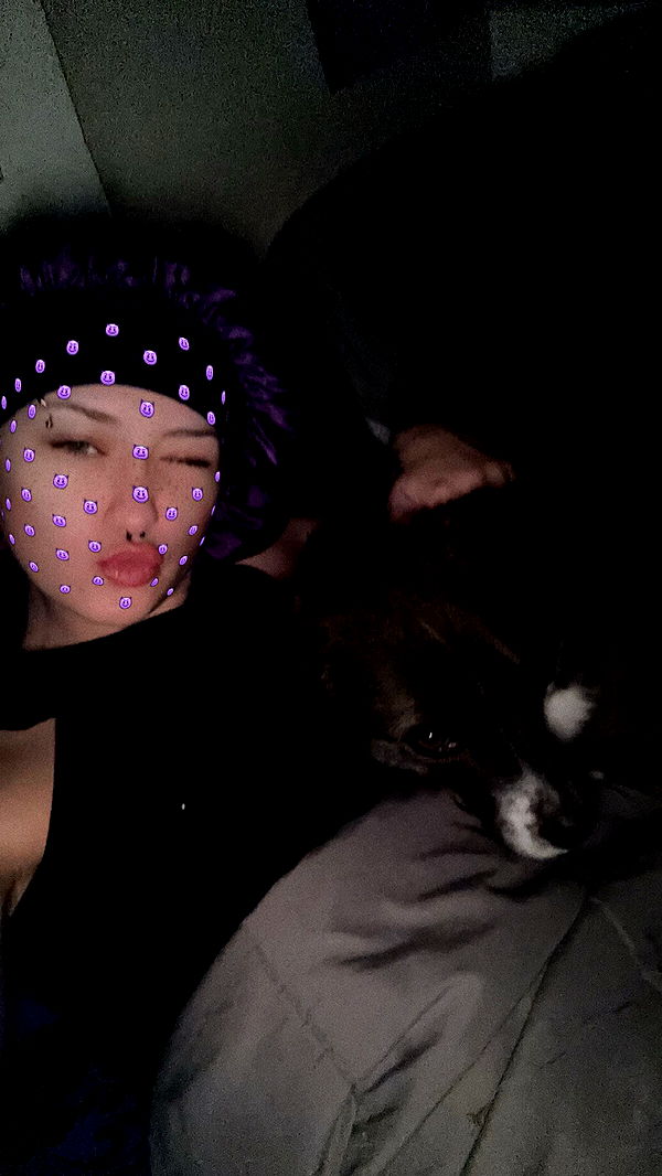 trappkittykhaos image ~ Altpins