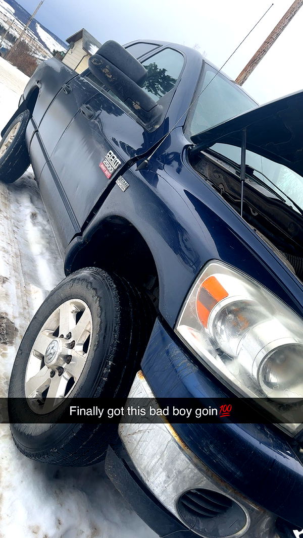 trappkittykhaos image ~ Altpins