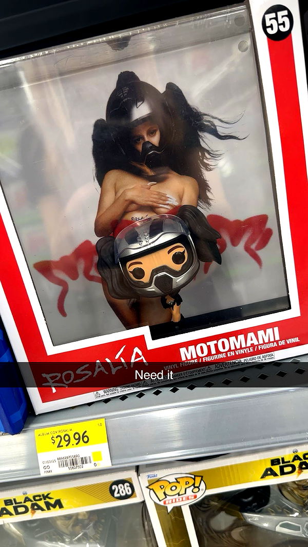 trappkittykhaos image ~ Altpins