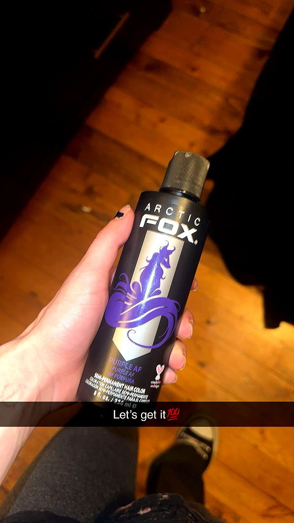 trappkittykhaos image ~ Altpins