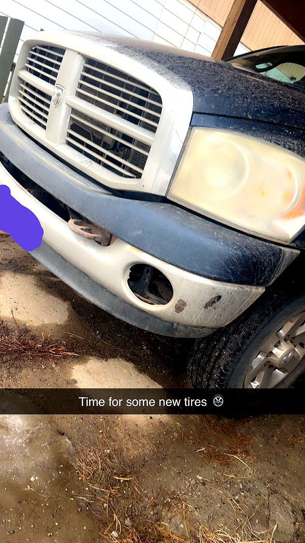 trappkittykhaos image ~ Altpins