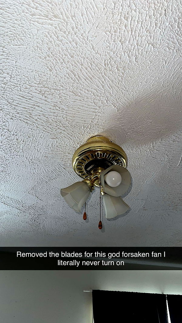 trappkittykhaos image ~ Altpins