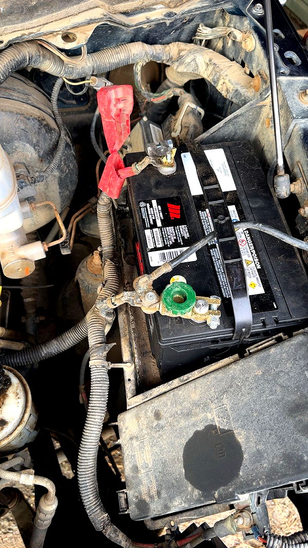 trappkittykhaos image ~ Altpins