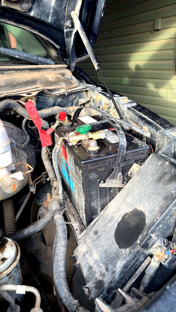 trappkittykhaos image ~ Altpins