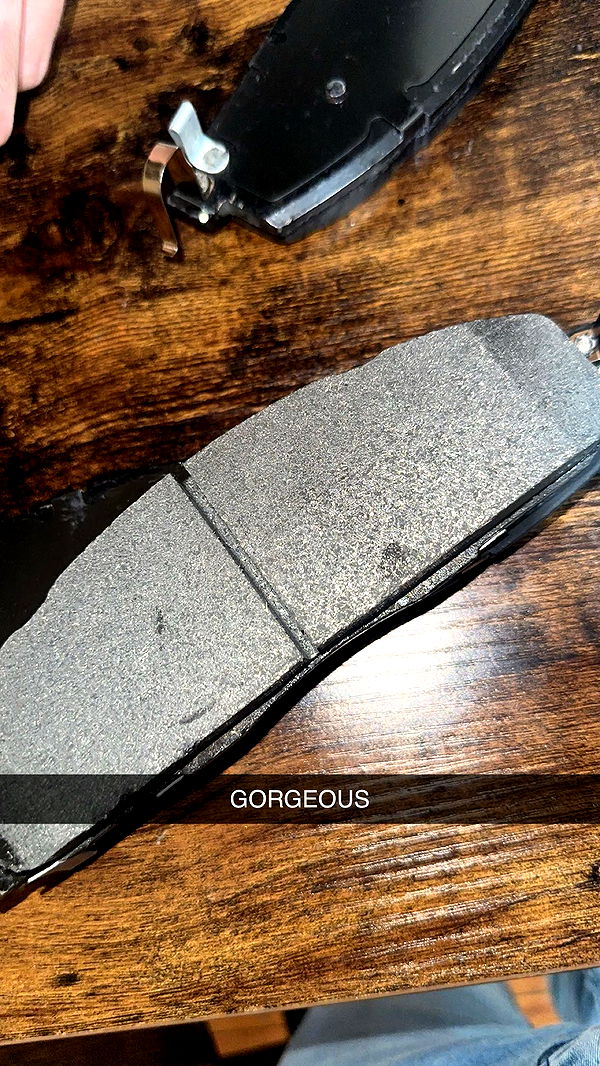 trappkittykhaos image ~ Altpins