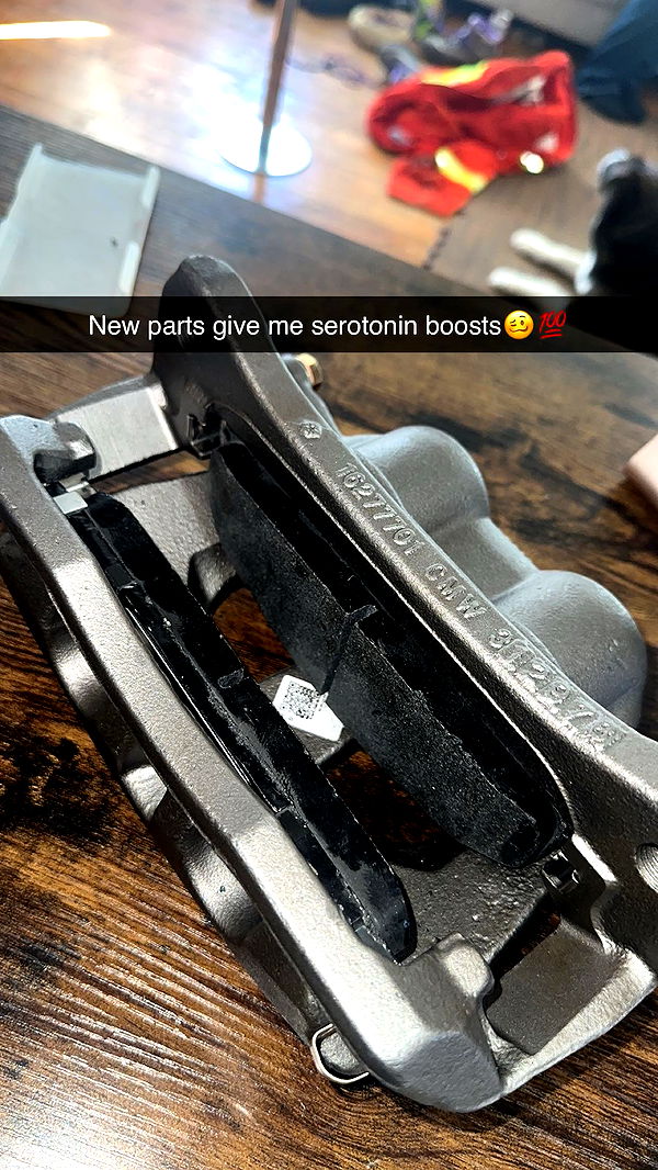 trappkittykhaos image ~ Altpins