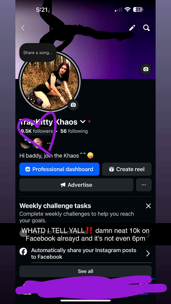 trappkittykhaos image ~ Altpins