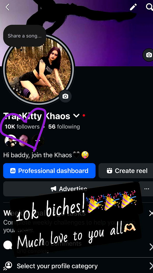 trappkittykhaos image ~ Altpins