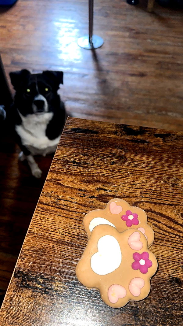 trappkittykhaos image ~ Altpins