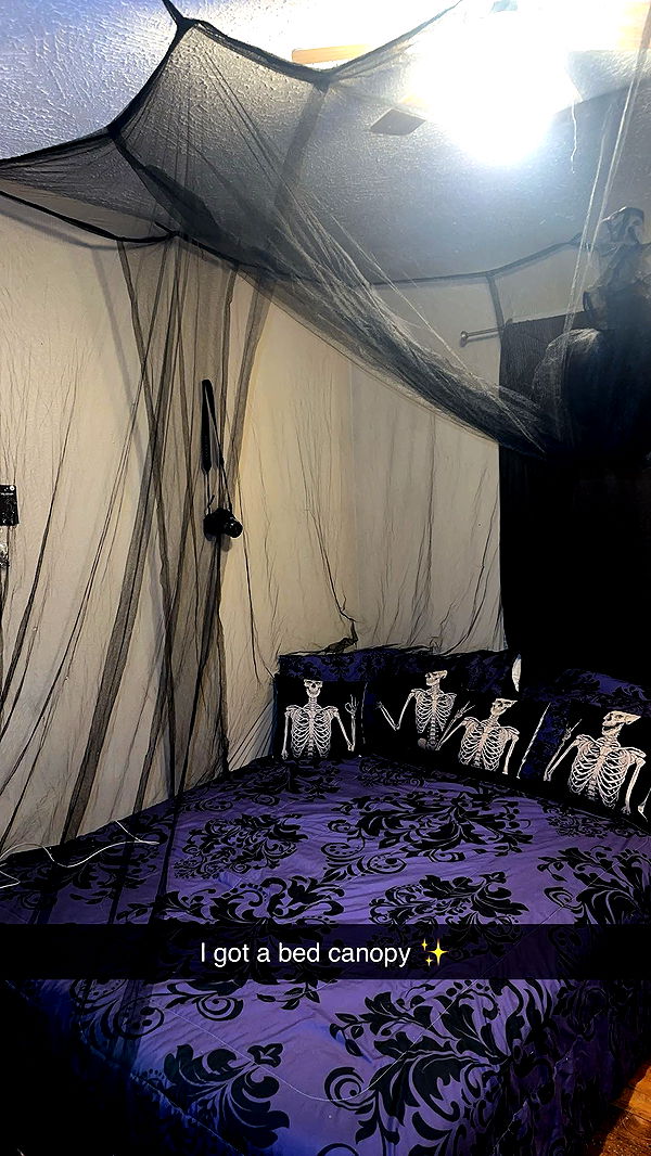 trappkittykhaos image ~ Altpins