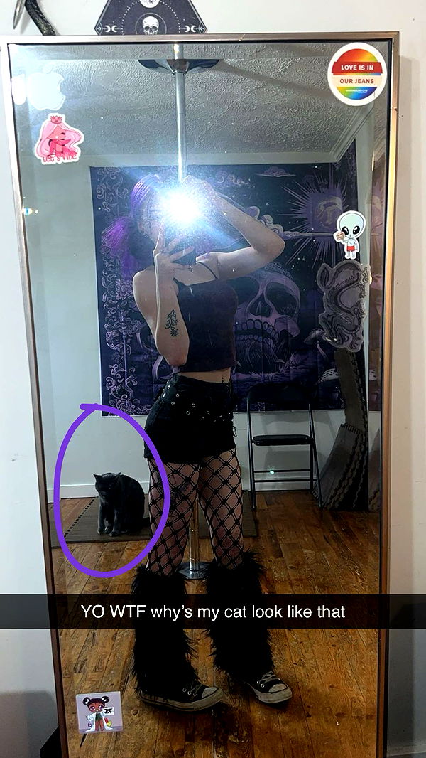 trappkittykhaos image ~ Altpins