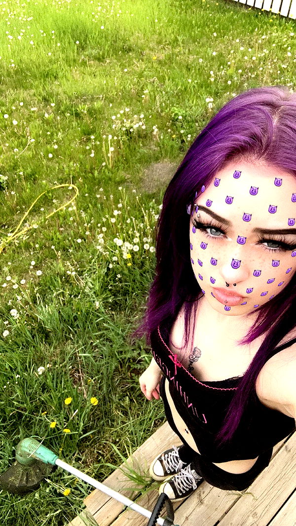 trappkittykhaos image ~ Altpins