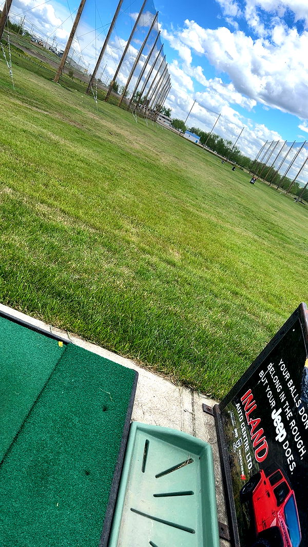 trappkittykhaos image ~ Altpins