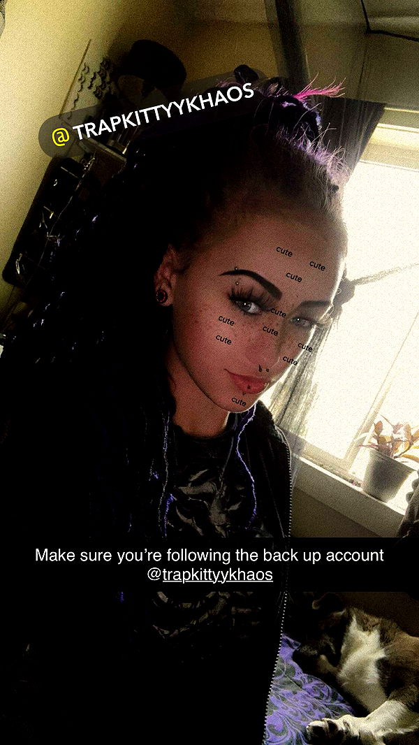 trappkittykhaos image ~ Altpins