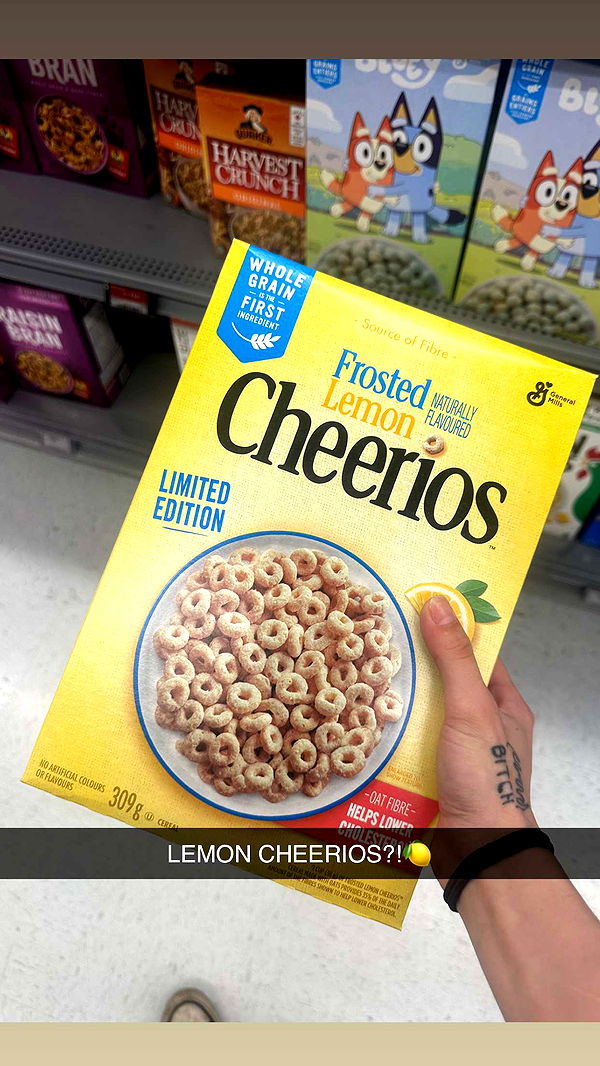 trappkittykhaos image ~ Altpins