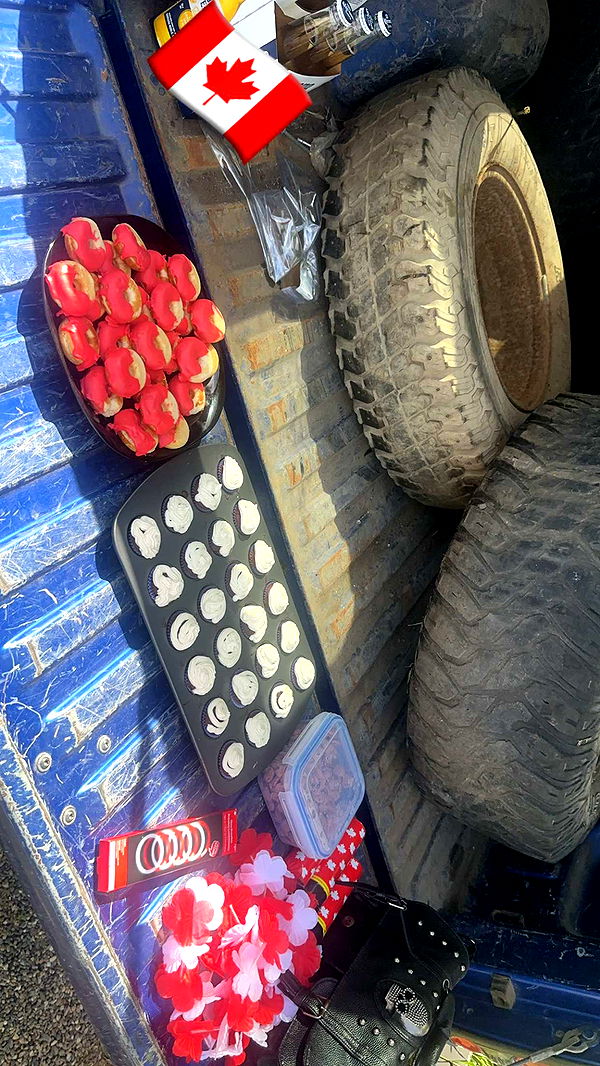 trappkittykhaos image ~ Altpins