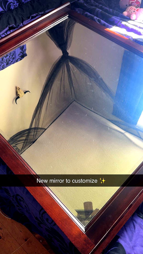 trappkittykhaos image ~ Altpins