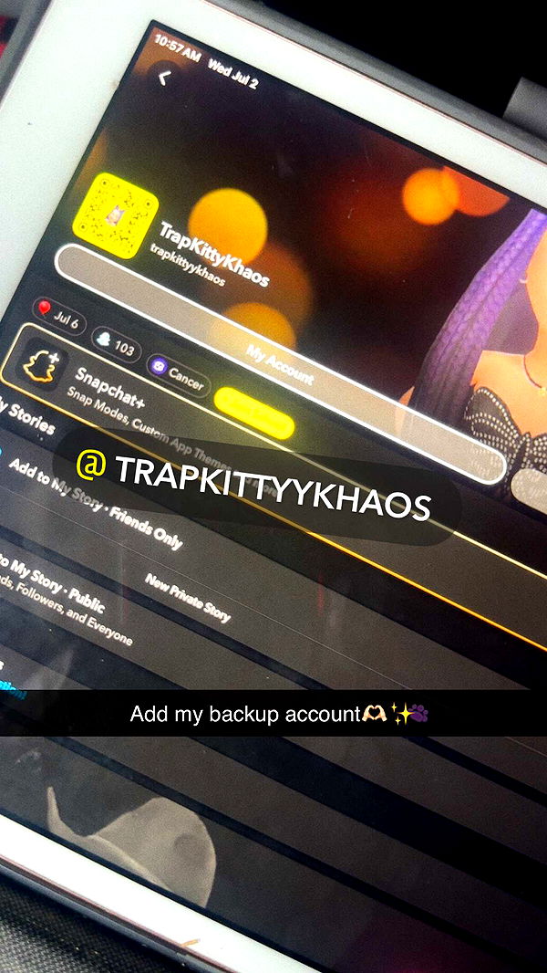 trappkittykhaos image ~ Altpins