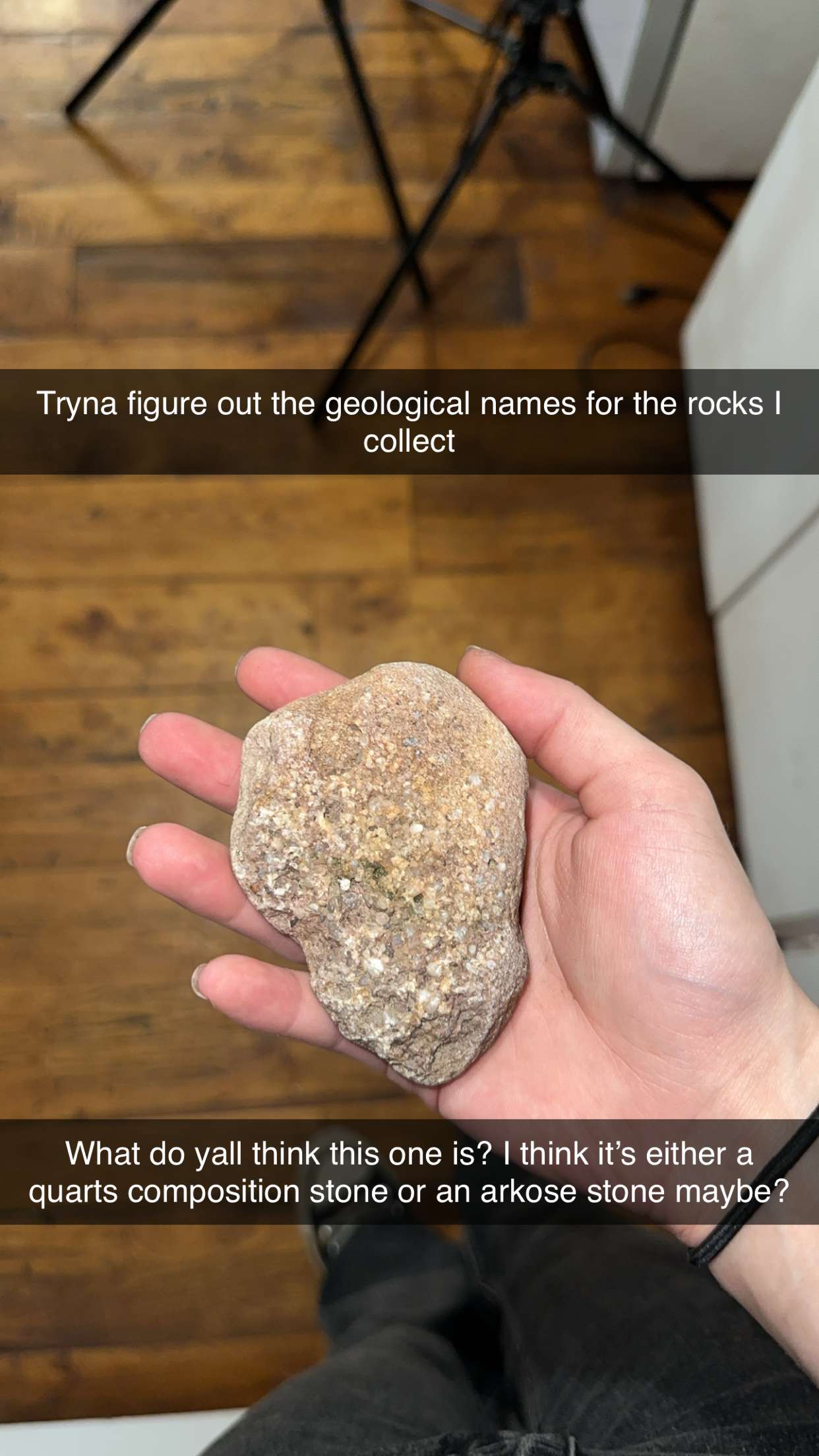 trappkittykhaos snapchat image archive image