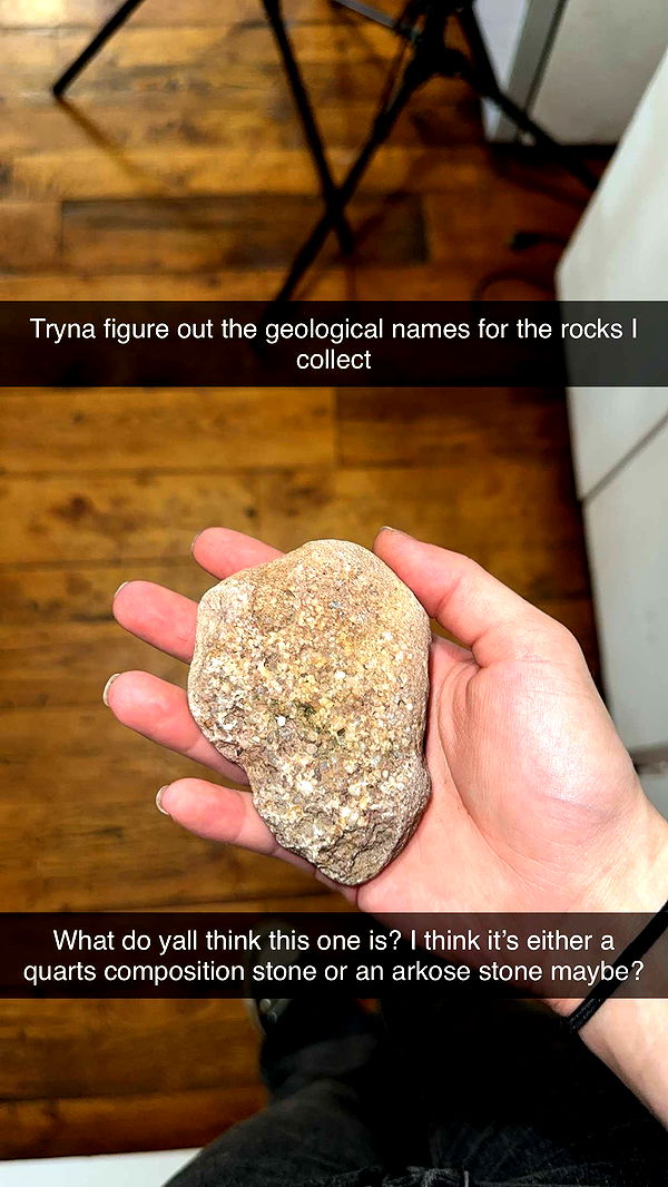 trappkittykhaos image ~ Altpins