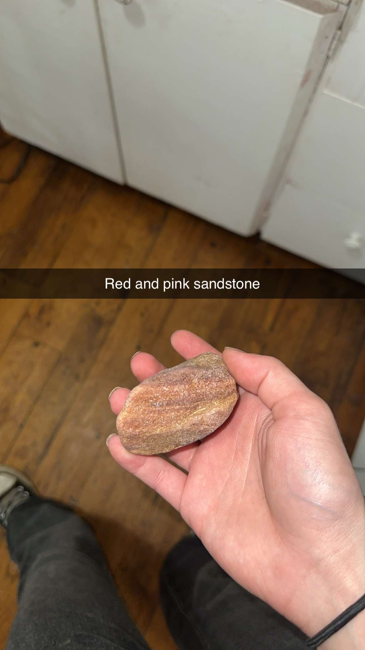 trappkittykhaos snapchat image archive image