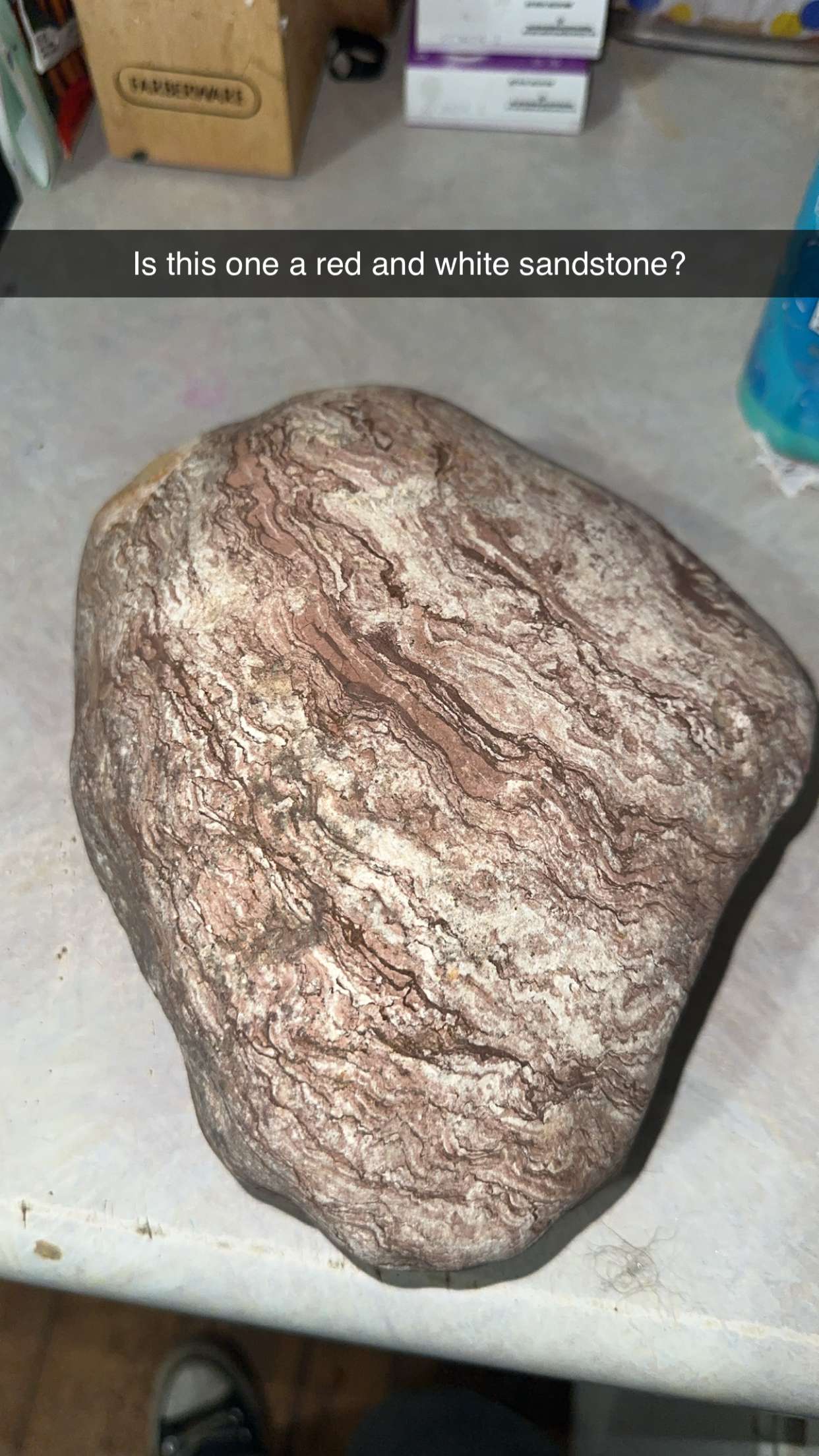 trappkittykhaos snapchat image archive image