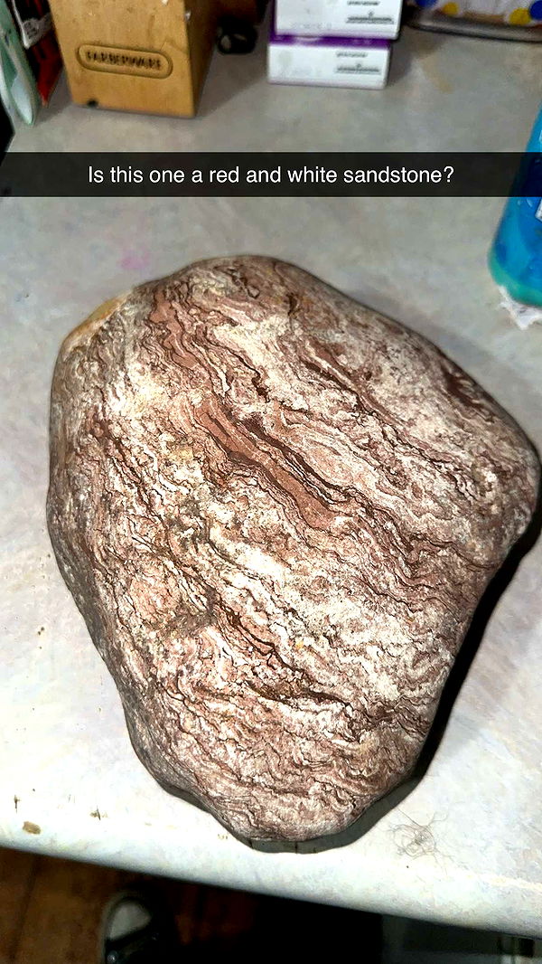 trappkittykhaos image ~ Altpins