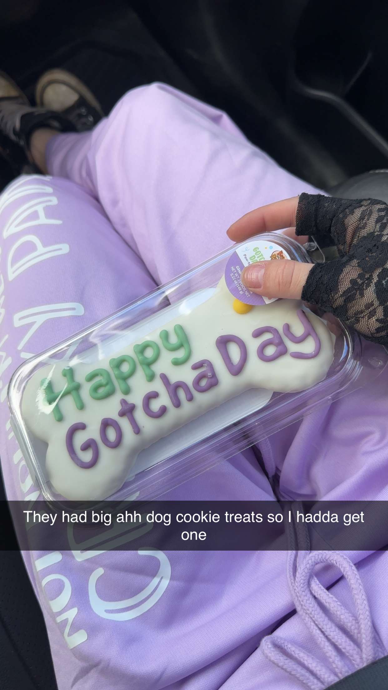 trappkittykhaos snapchat image archive image