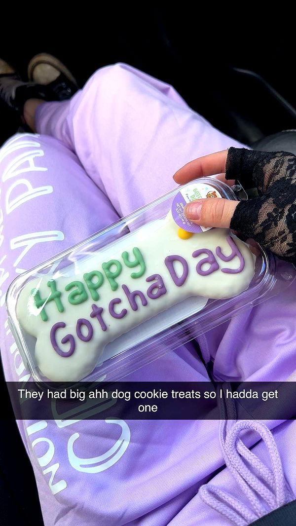 trappkittykhaos image ~ Altpins