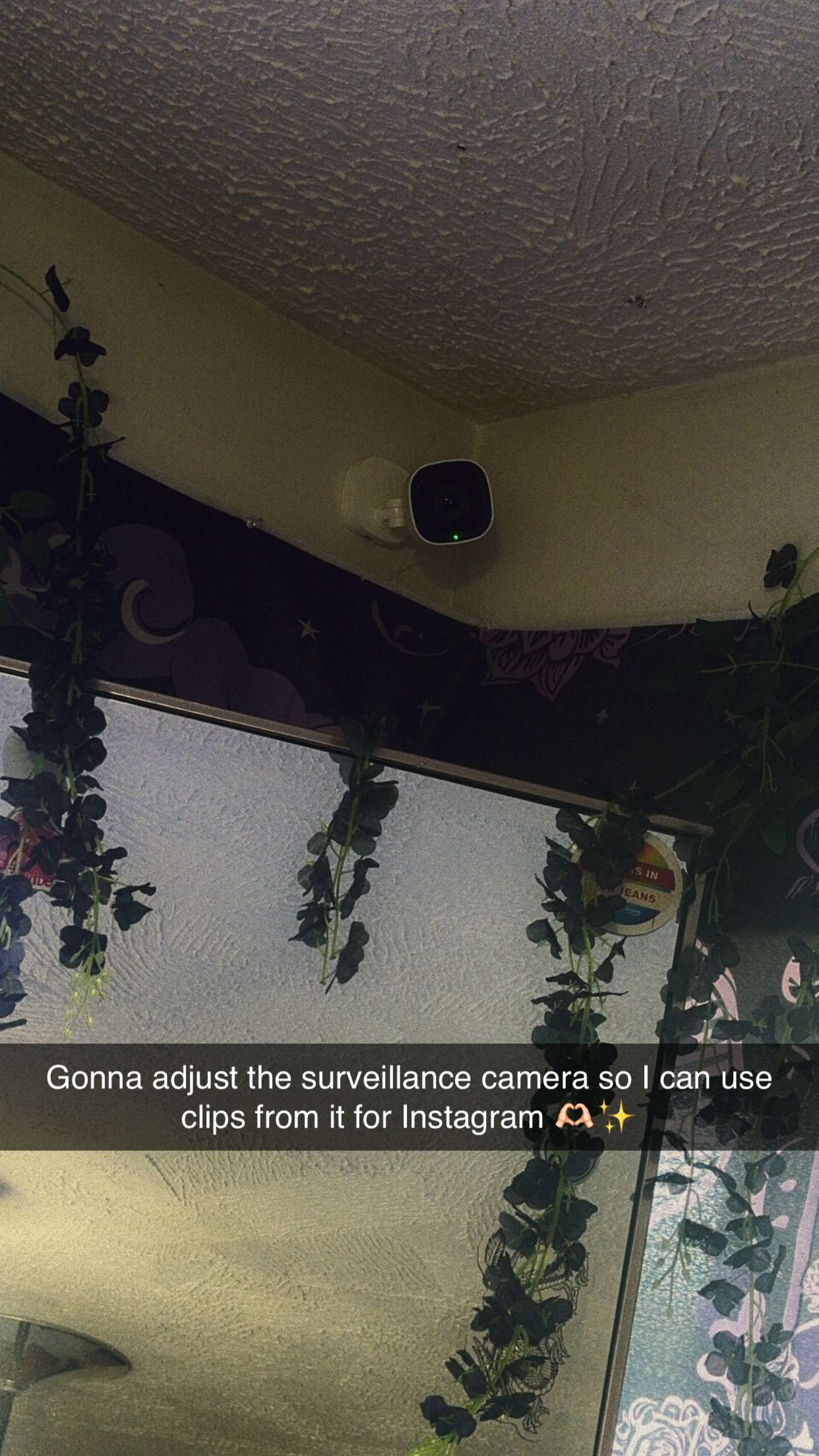 trappkittykhaos snapchat image archive image