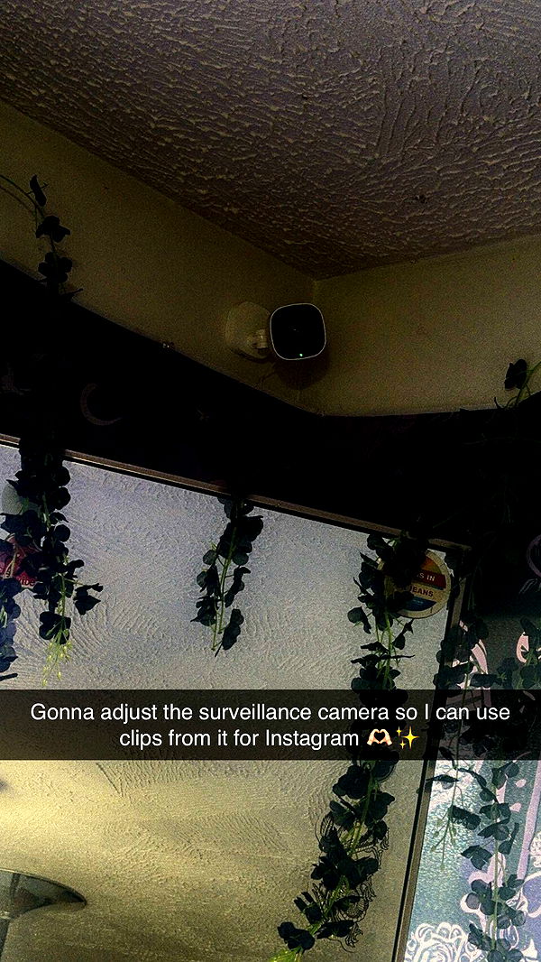 trappkittykhaos image ~ Altpins