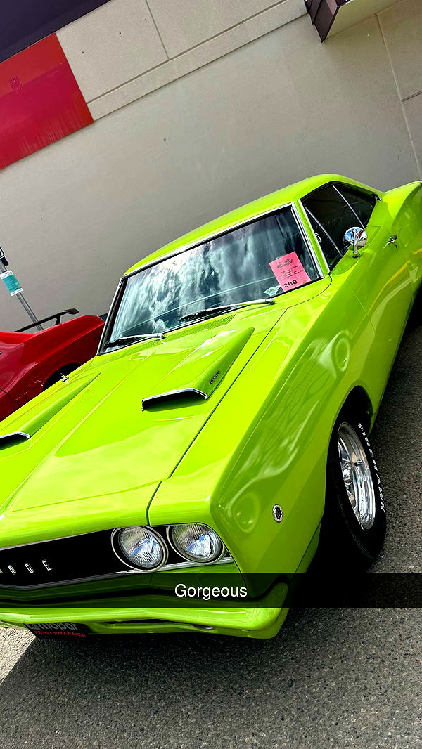 trappkittykhaos image ~ Altpins