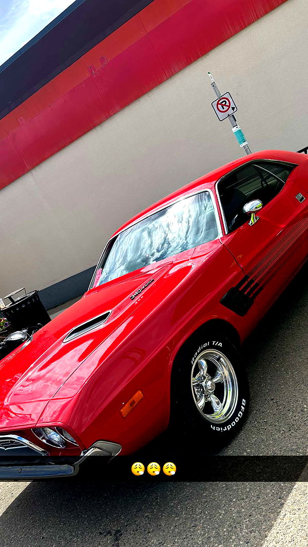 trappkittykhaos image ~ Altpins