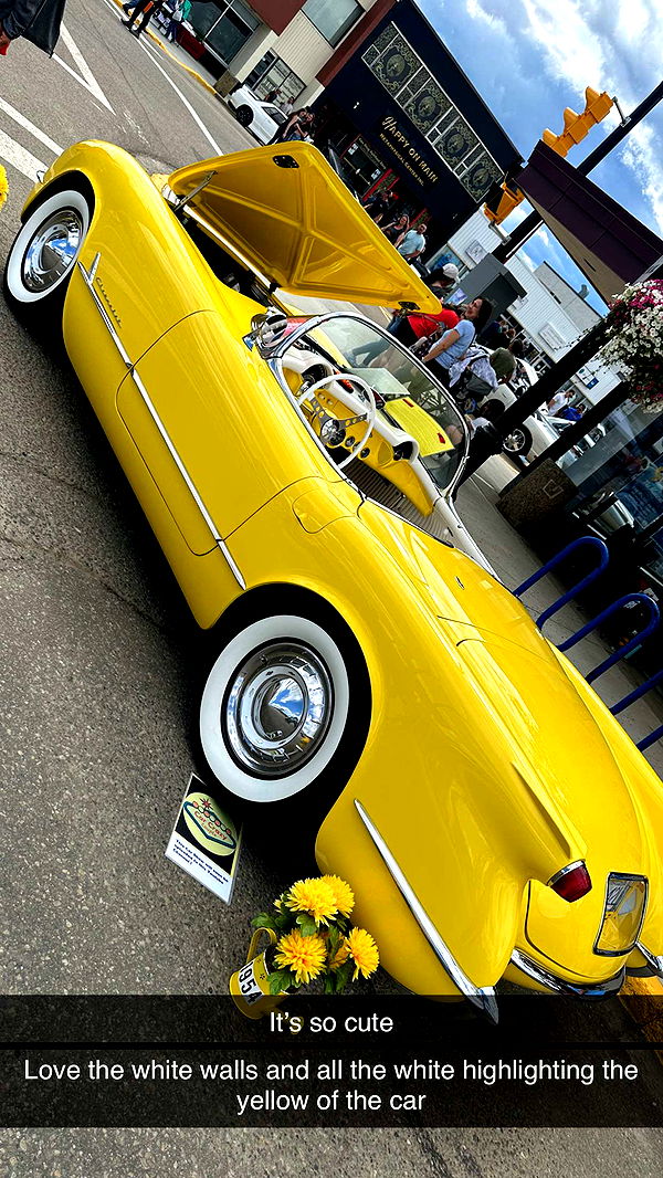 trappkittykhaos image ~ Altpins