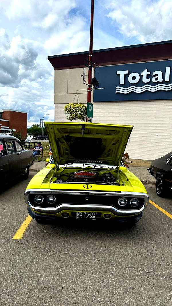 trappkittykhaos image ~ Altpins