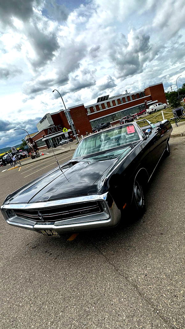 trappkittykhaos image ~ Altpins