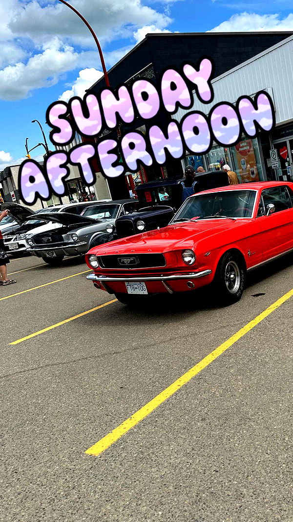 trappkittykhaos image ~ Altpins