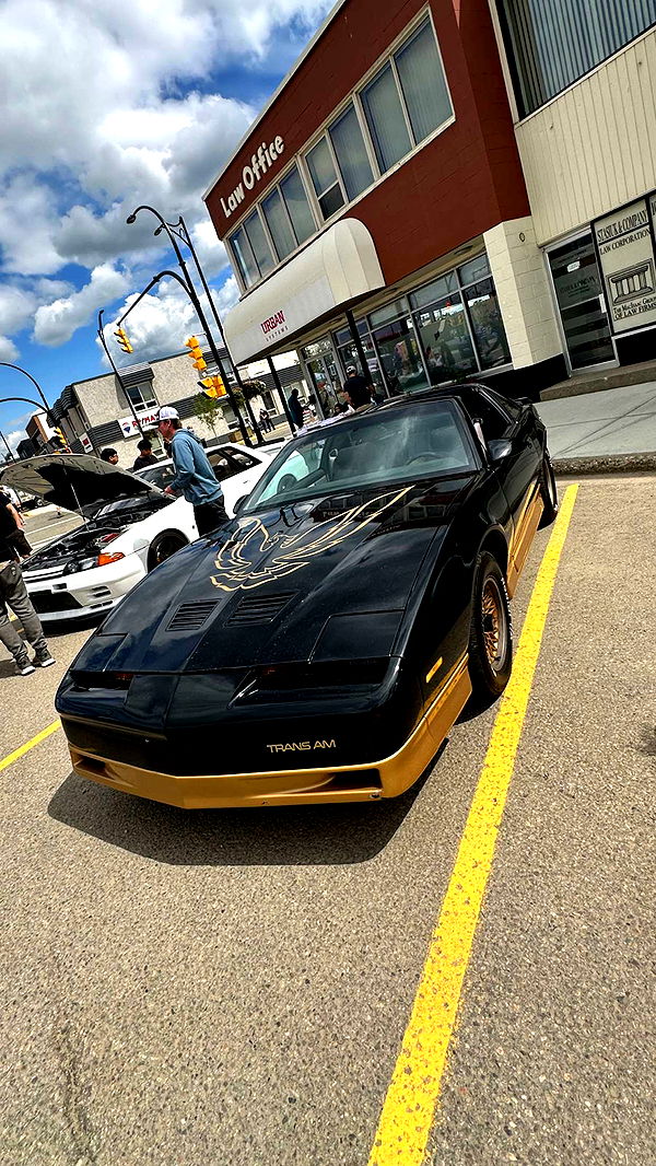 trappkittykhaos image ~ Altpins